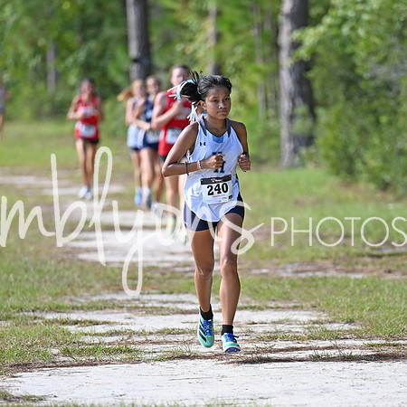 DSC_4182-1_edited-1