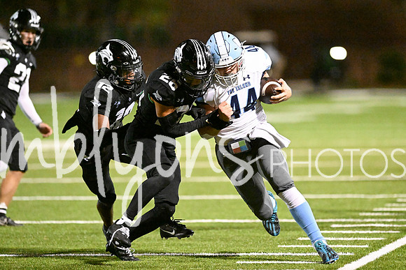 DSC_1100_edited-1