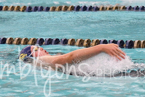 DSC_2392-11_edited-1