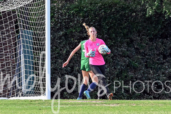 DSC_6281-1_edited-1