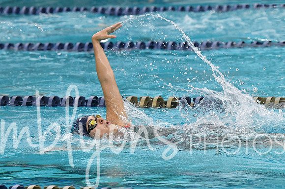 DSC_2031-1_edited-1
