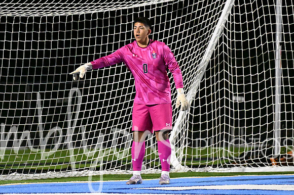 DSC_4235_edited-1