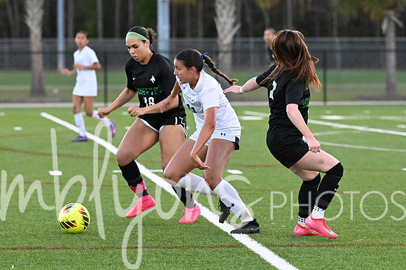 DSC_7652-1_edited-1