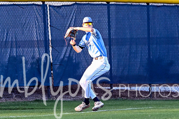 DSC_5526-1_edited-1