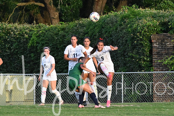 DSC_6574_edited-1