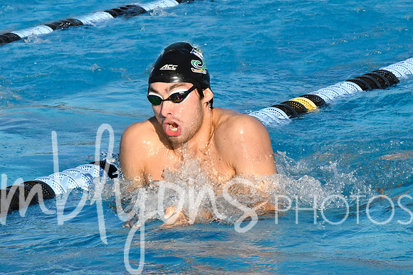 DSC_5474-1_edited-1