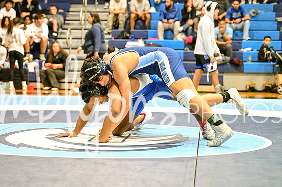 DSC_3953_edited-1