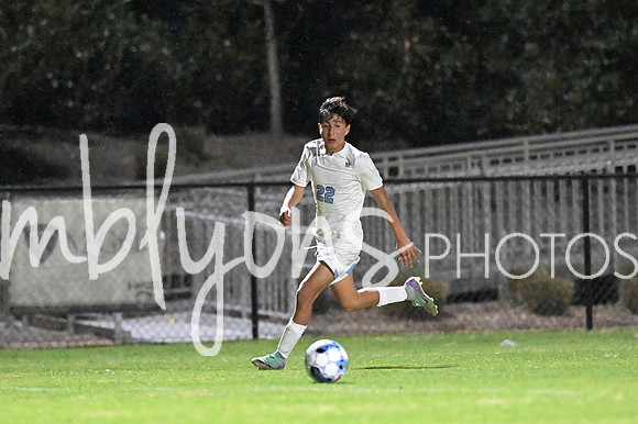DSC_1221-1_edited-1