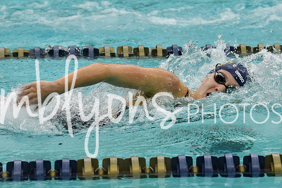 DSC_3632_edited-1
