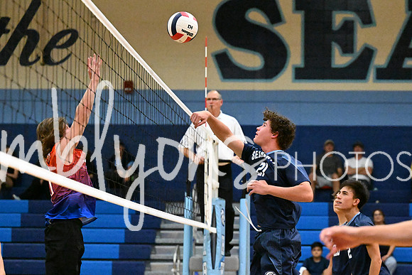 DSC_4246-1_edited-1