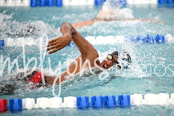DSC_2429_edited-11