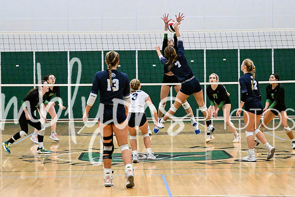 DSC_4658-1_edited-1
