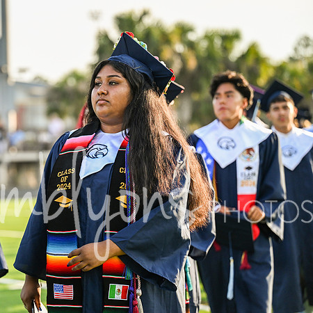 DSC_2114_edited-1