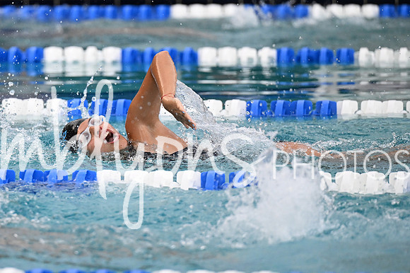 DSC_2523-1_edited-1
