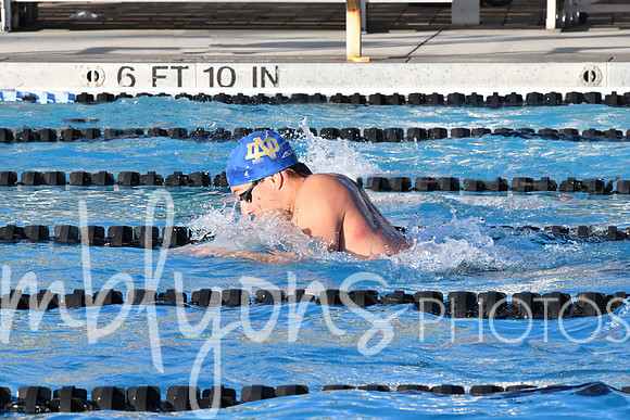 DSC_6397-1_edited-1