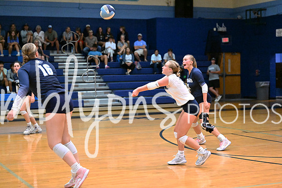 DSC_2991-1_edited-1