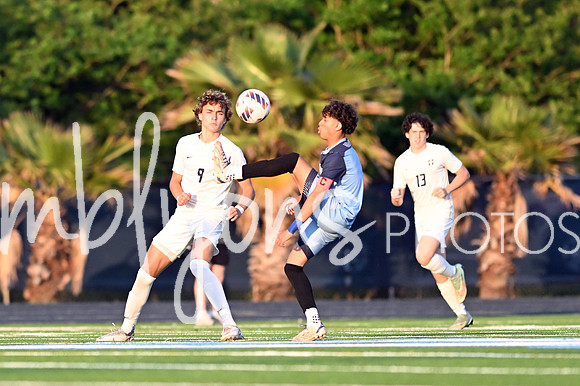 DSC_3509-1_edited-1