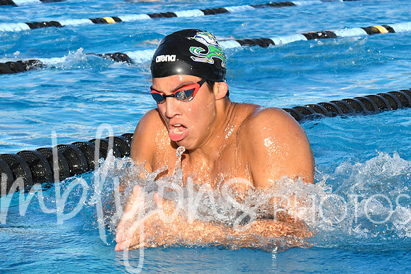 DSC_5584-1_edited-1