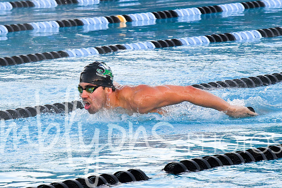 DSC_5935_edited-1