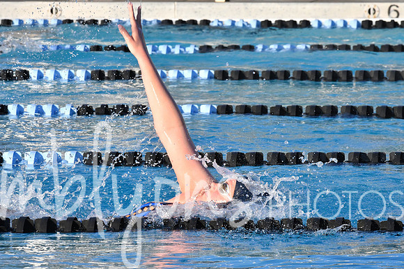 DSC_6382-1_edited-1