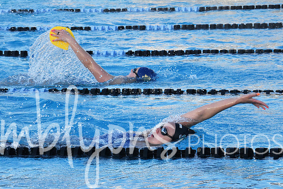 DSC_6120-1_edited-1