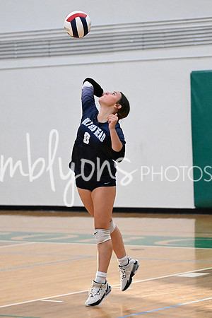 DSC_4503_edited-1