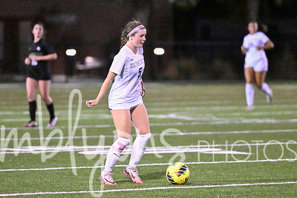 DSC_7833-1_edited-1