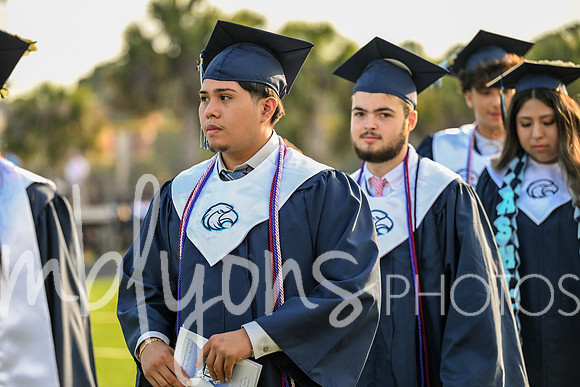 DSC_2084_edited-1