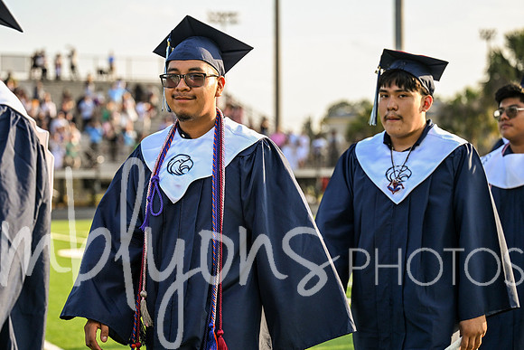 DSC_2112_edited-1
