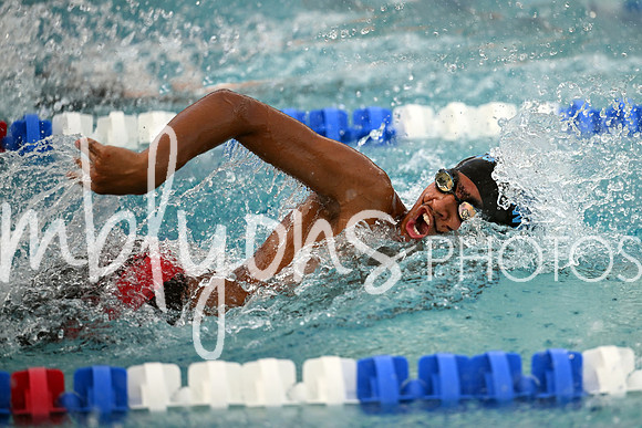 DSC_2428-1_edited-1