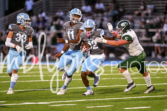 DSC_1446-1_edited-1