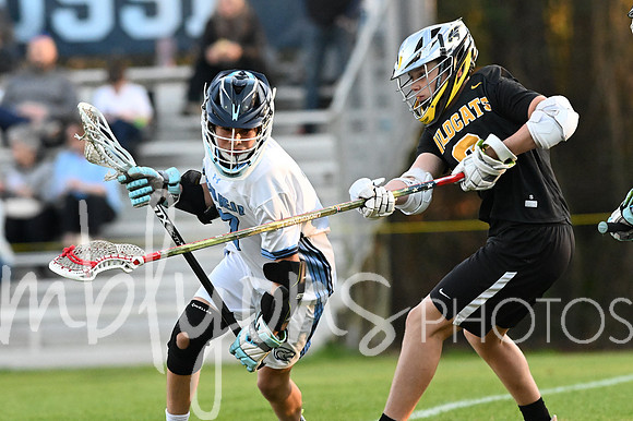 DSC_2944-1_edited-1