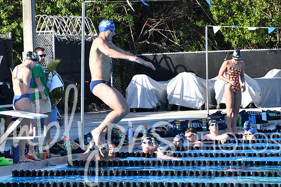 DSC_5126_edited-1