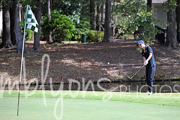 DSC_4566-1_edited-1