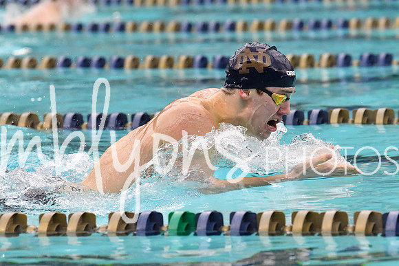DSC_3196_edited-1
