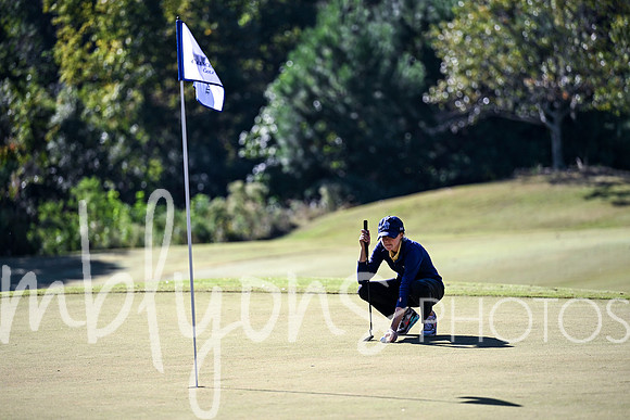 DSC_3235_edited-1