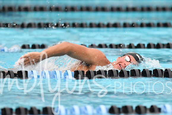 DSC_4541-1_edited-1