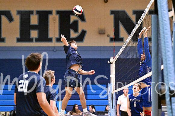 DSC_5398-1_edited-1