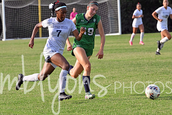 DSC_6273-1_edited-1