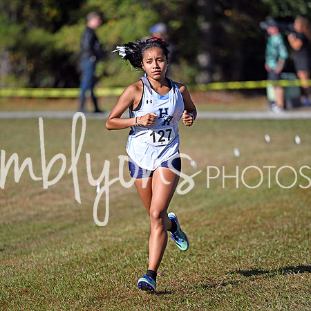 DSC_5509-1_edited-1