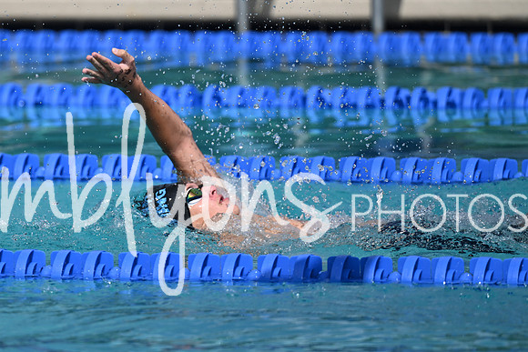 DSC_2224_edited-1