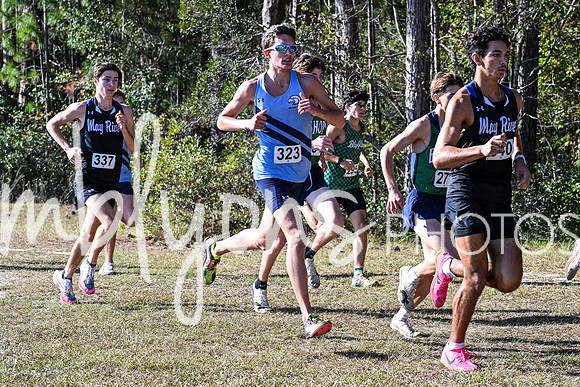 DSC_7370_edited-1