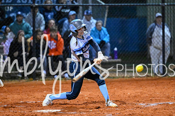 DSC_4575-1_edited-1