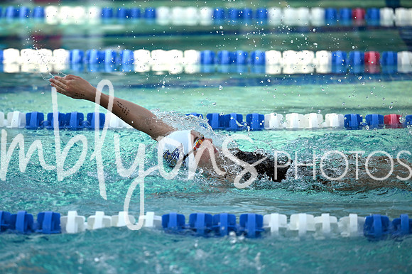 DSC_1136-1_edited-1