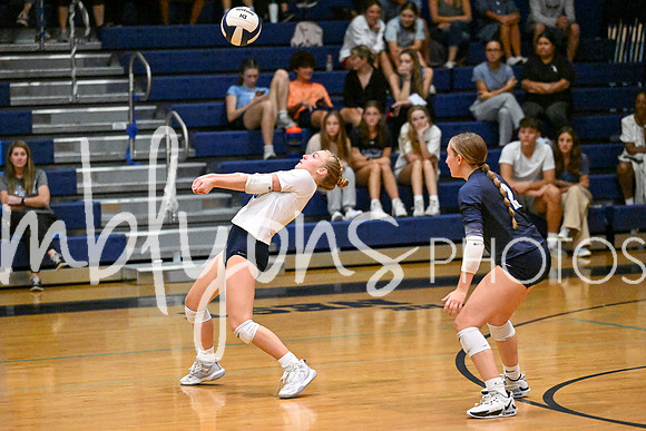 DSC_3529_edited-1