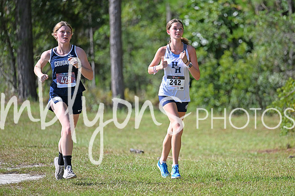 DSC_4206-1_edited-1